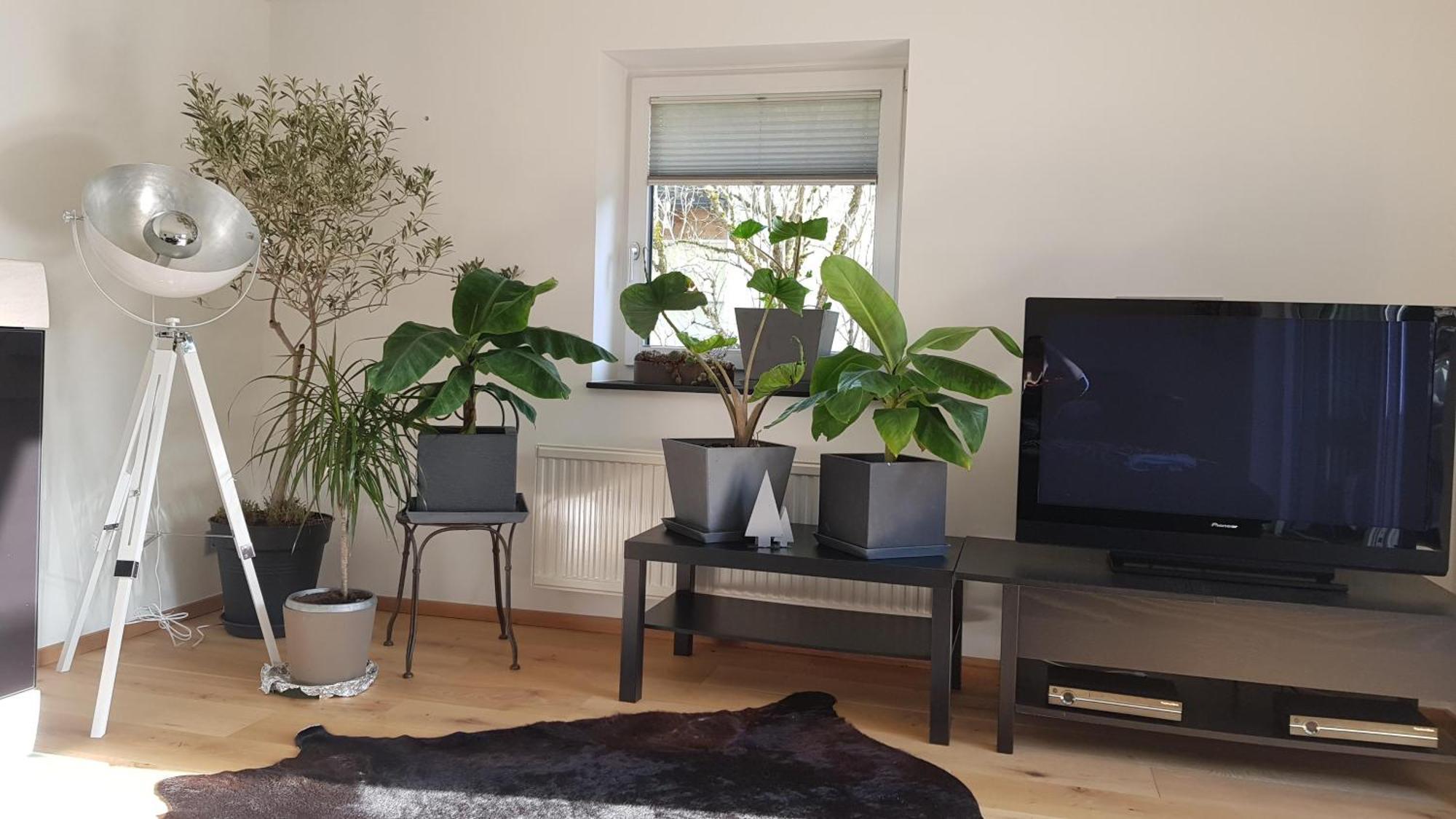 Jagd Trifft Moderne&boutique Jardin *