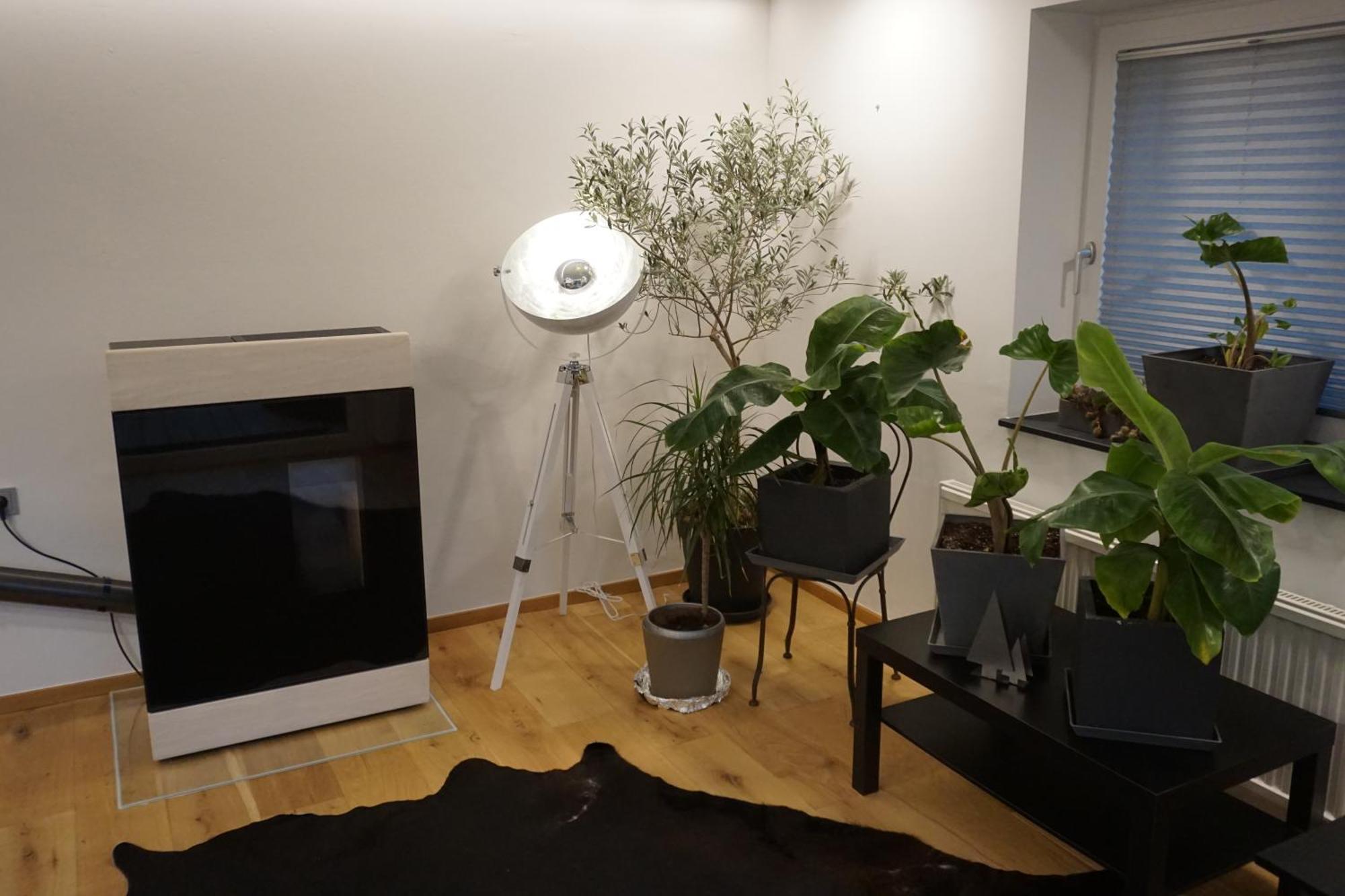 Appartement Jagd Trifft Moderne&boutique Jardin *