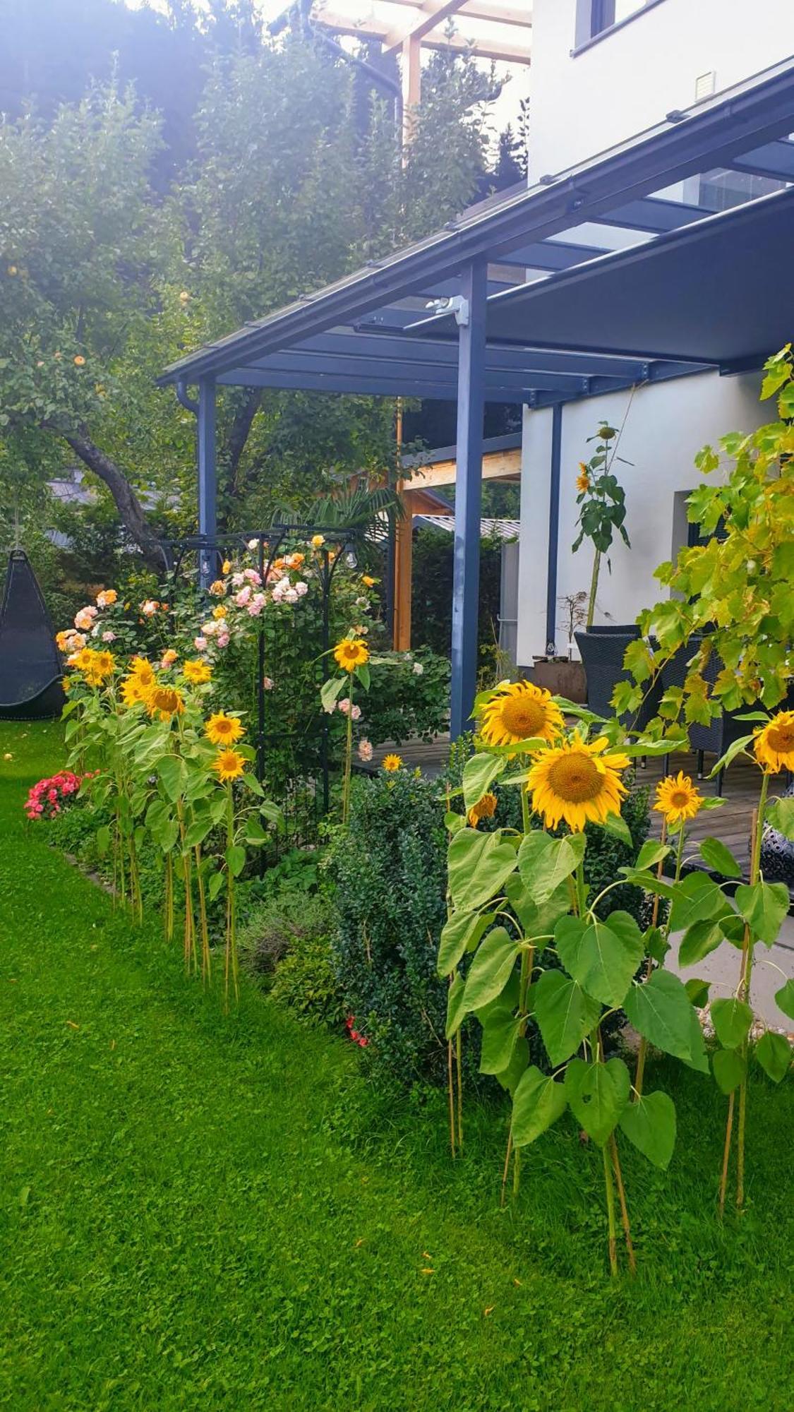 Jagd Trifft Moderne&boutique Jardin *